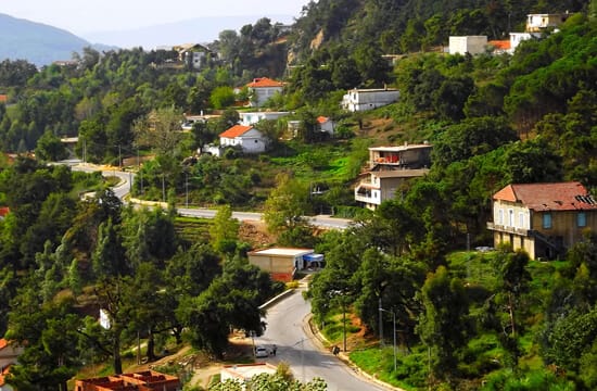 Découvrez l'une des destinations incontournables de Tunisie à Ain Draham avec une vue panoramique sur un village à flanc de colline. Les maisons sont nichées au milieu d'une végétation luxuriante, tandis que des routes sinueuses serpentent à travers ce havre de nature Escapades, encadré par des collines sous un ciel clair.