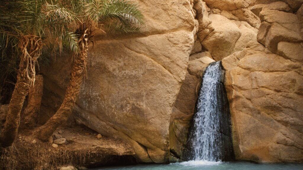 Une petite cascade à Tamarza à côté de Tozeur tombe d'une paroi rocheuse accidentée dans un bassin limpide en contrebas, ressemblant à une piscine tranquille. De grands palmiers aux frondes vertes luxuriantes se dressent à gauche, contrastant avec les teintes chaudes beiges et oranges des rochers, tandis que la lumière du soleil illumine doucement la scène sereine ressemblant à une villa dans l'oasis de Tozeur.